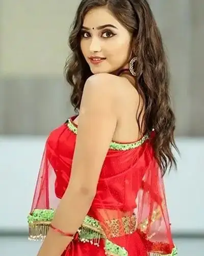 Call Girls Service Satchand